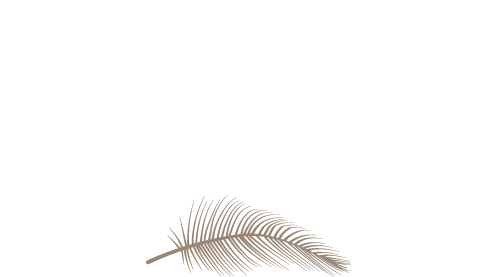 Mademoiselle Kelapa